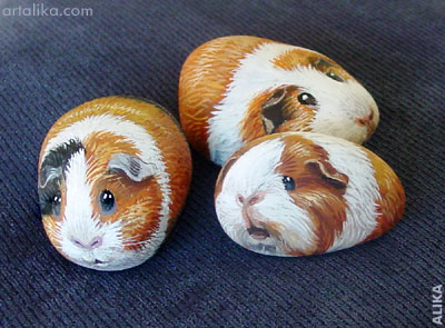 Hand painted rock ( stone)/ Guinea pigs