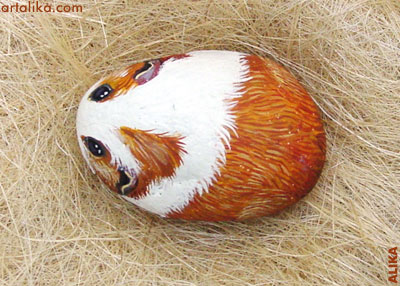 Hand painted rock ( stone)/ Guinea pig