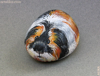 Hand painted rock ( stone) Guinea pig