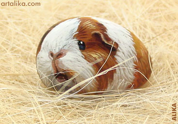 Hand painted rock ( stone)/ Guinea pig